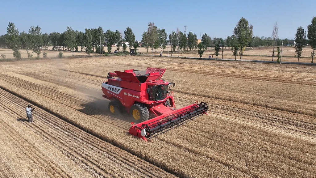 百乐博谷神GS8188作业实况